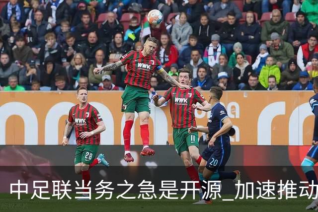 中足联当务之急是开源 加速推动中国足球职业化