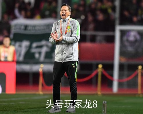 头号玩家龙8简介 